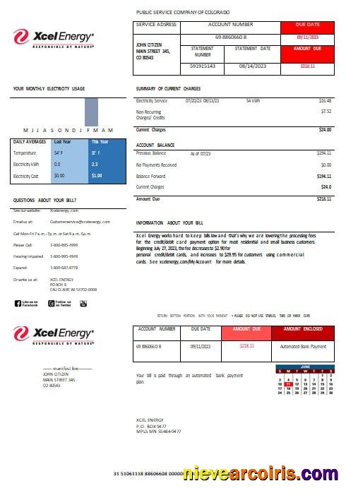 USA XcelEnergy electric utility bill